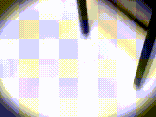 1.gif