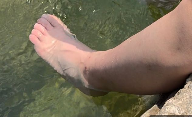 IMG_8069.jpeg