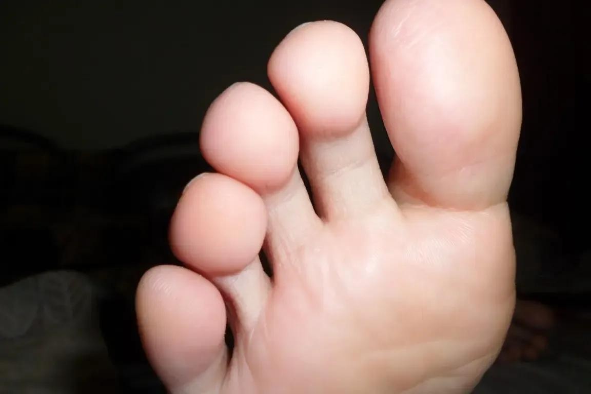 a1ec08fa513d2697511f273345fbb2fb4216d88b.jpg